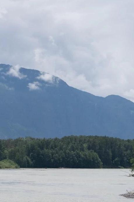 Brackendale Eagles Provincial Park